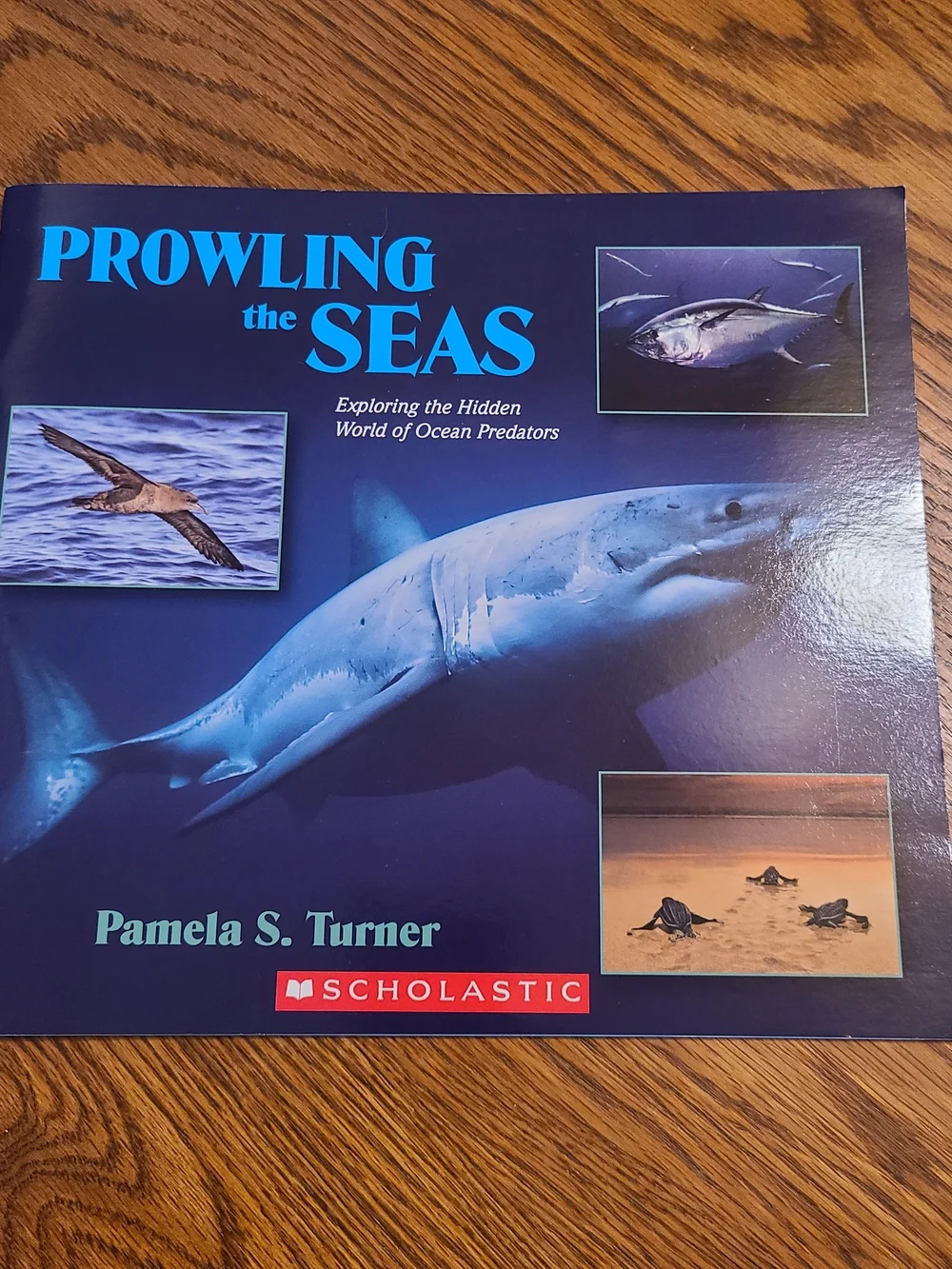 Prowling the Seas By Pamela S. Turner